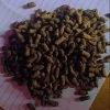 Ace Floating Feed 4.5mm