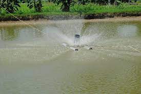 Water management in catfish farming